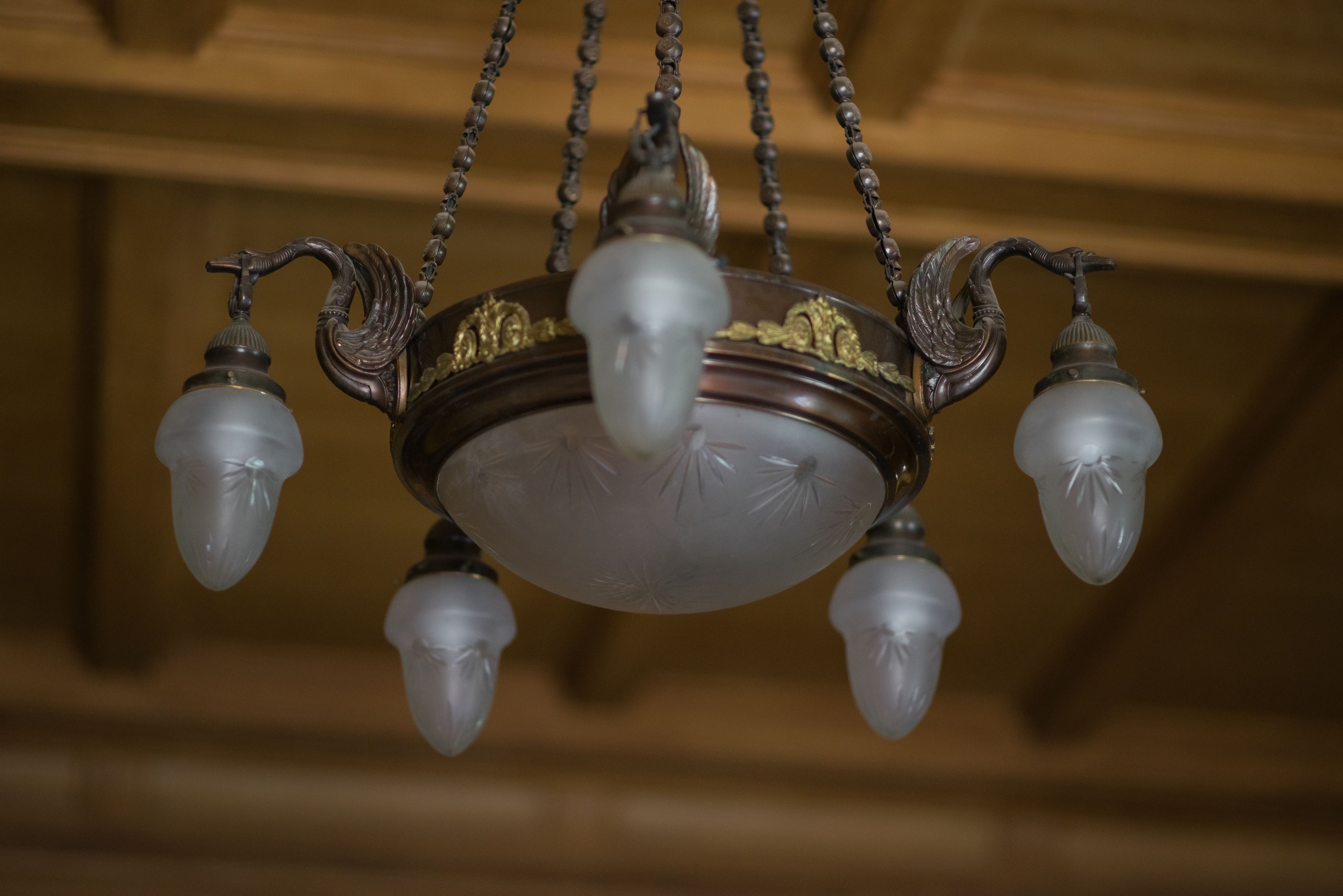 Fragment of chandelier, 1900–1906, P. Vileišis Palace. Photo by Povilas Jarmala, 2017